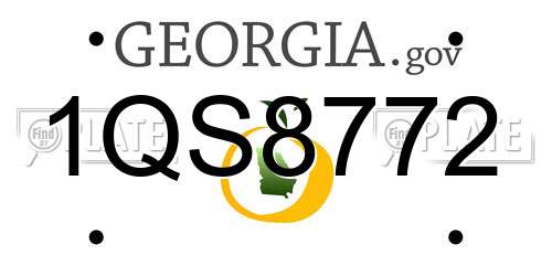 1QS8772 Georgia License Plate