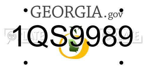 1QS9989 Georgia License Plate