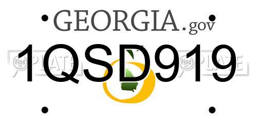 1QSD919 Georgia License Plate