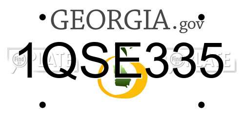 1QSE335 Georgia License Plate