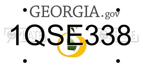 1QSE338 Georgia License Plate