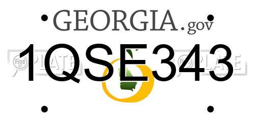 1QSE343 Georgia License Plate
