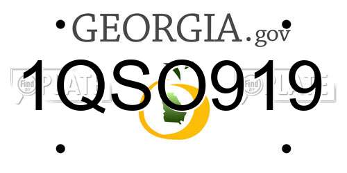 1QSO919 Georgia License Plate