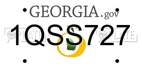 1QSS727 Georgia License Plate