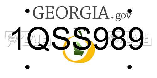 1QSS989 Georgia License Plate