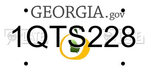 1QTS228 Georgia License Plate