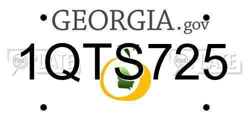 1QTS725 Georgia License Plate