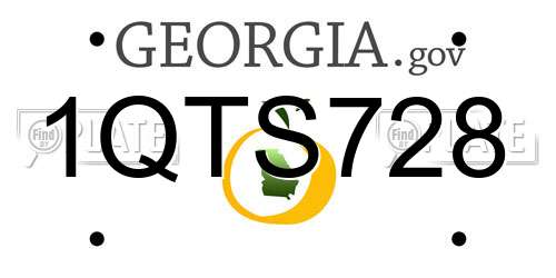 1QTS728 Georgia License Plate