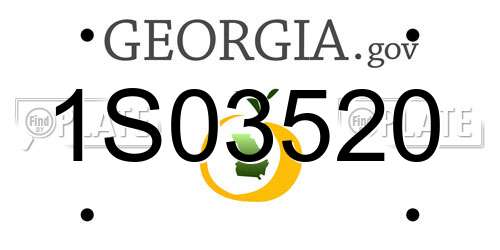 1S03520 Georgia License Plate