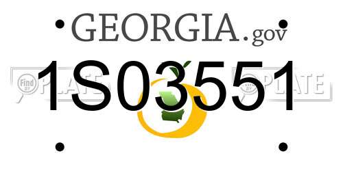 1S03551 Georgia License Plate