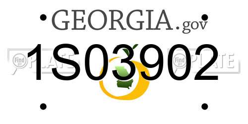 1S03902 Georgia License Plate