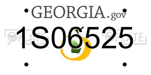 1S06525 Georgia License Plate