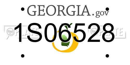1S06528 Georgia License Plate