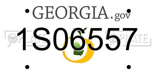 1S06557 Georgia License Plate