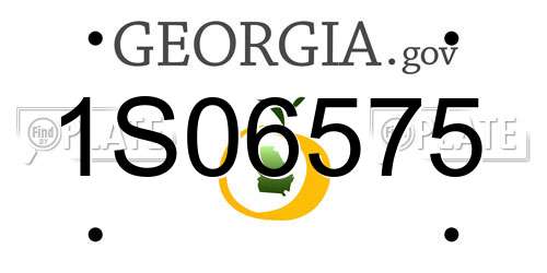 1S06575 Georgia License Plate