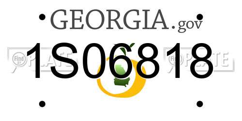 1S06818 Georgia License Plate