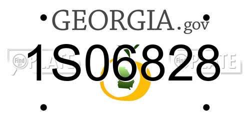 1S06828 Georgia License Plate