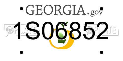 1S06852 Georgia License Plate