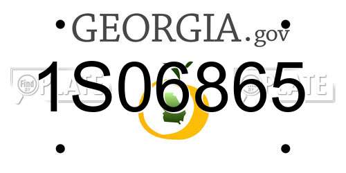 1S06865 Georgia License Plate