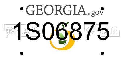 1S06875 Georgia License Plate