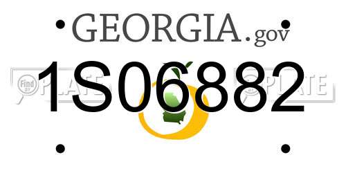 1S06882 Georgia License Plate