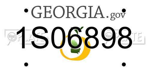 1S06898 Georgia License Plate