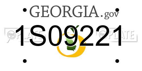 1S09221 Georgia License Plate