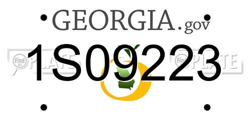 1S09223 Georgia License Plate