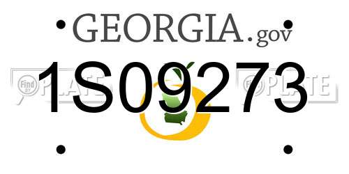 1S09273 Georgia License Plate