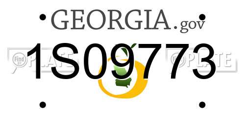 1S09773 Georgia License Plate