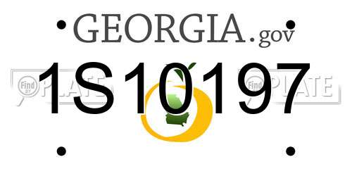 1S10197 Georgia License Plate