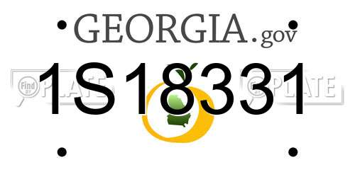 1S18331 Georgia License Plate