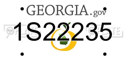 1S22235 Georgia License Plate
