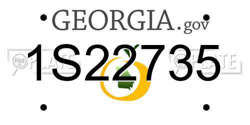 1S22735 Georgia License Plate