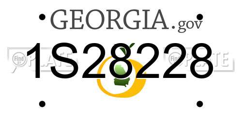 1S28228 Georgia License Plate