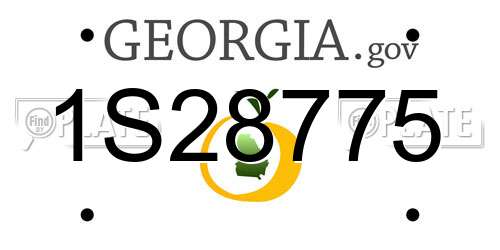 1S28775 Georgia License Plate