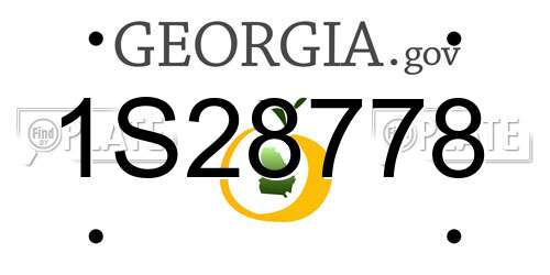 1S28778 Georgia License Plate