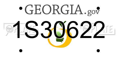 1S30622 Georgia License Plate