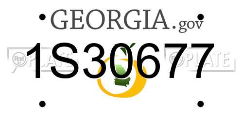 1S30677 Georgia License Plate