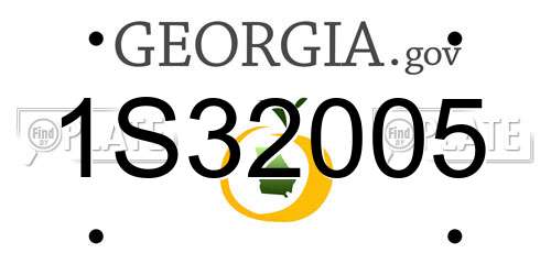 1S32005 Georgia License Plate