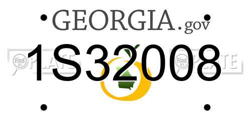 1S32008 Georgia License Plate
