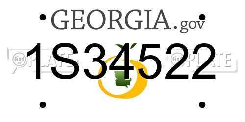 1S34522 Georgia License Plate