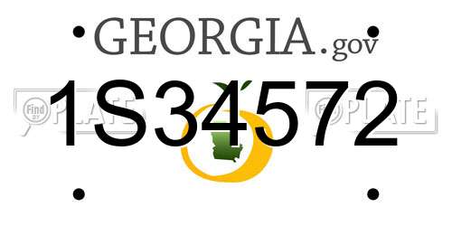 1S34572 Georgia License Plate