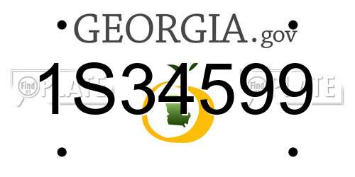 1S34599 Georgia License Plate