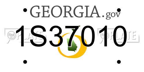 1S37010 Georgia License Plate