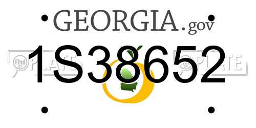 1S38652 Georgia License Plate
