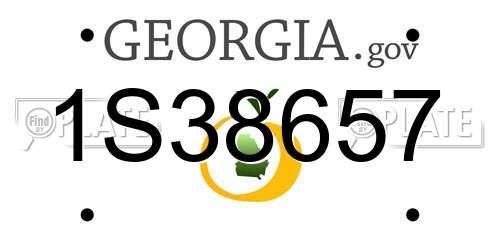 1S38657 Georgia License Plate