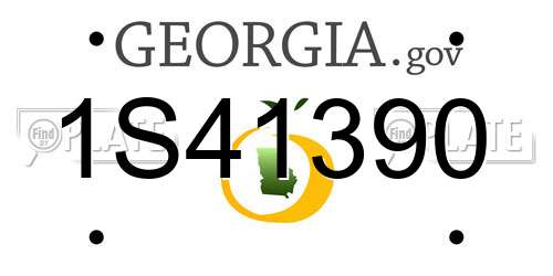 1S41390 Georgia License Plate