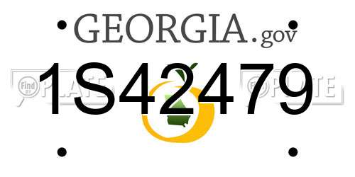 1S42479 Georgia License Plate