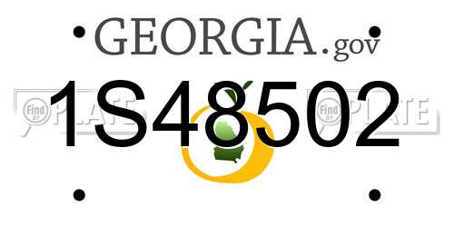 1S48502 Georgia License Plate